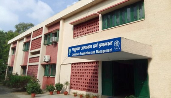 Rinderpest Pillar, IVRI Mukteswar