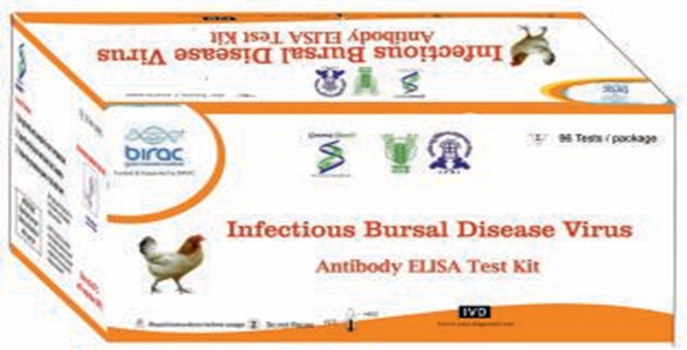 Recombinant antigen based sero-diagnosis of Infectious Bursal Disease by indirect ELISA
